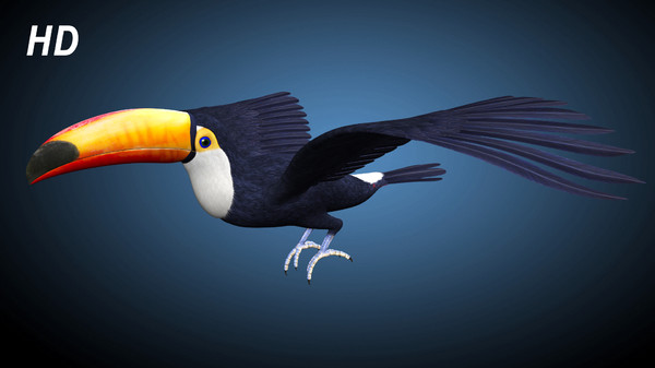 max flying toucan - Toucan A  ( Flying ) by MotionCow
